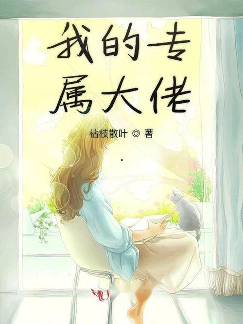 大佬的专属偏爱,探寻其专属偏爱的奥秘与魅力