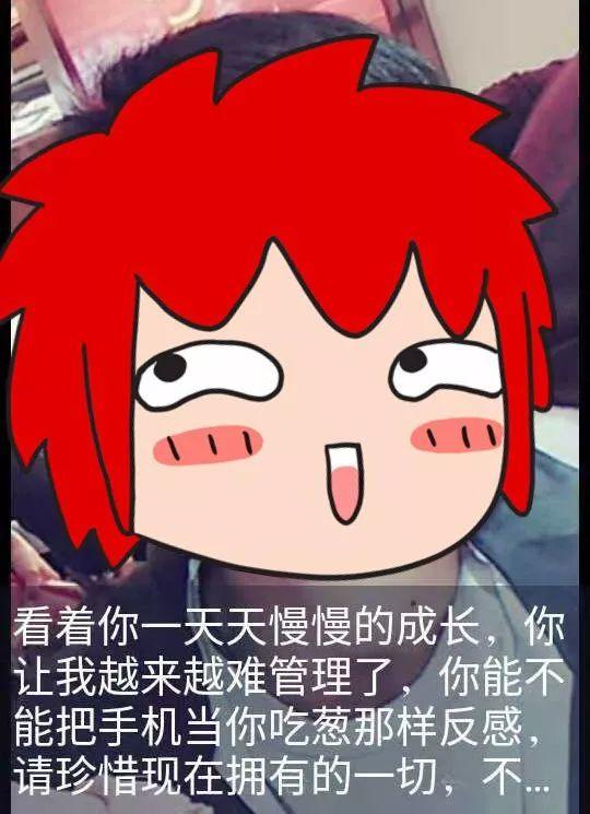 农爸跃龙门股海铸传奇（人不可貌相),股海铸传奇，人不可貌相的励志故事