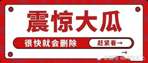 吃瓜 娱乐八卦图,吃瓜图背后的娱乐八卦风云